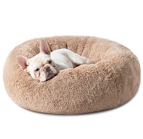 Lit Cocoon Premium- FrenchieBuddy
