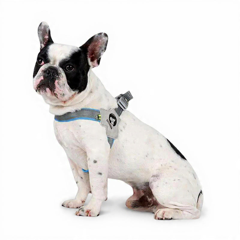 Harnais Confort Pro™ FrenchieBuddy